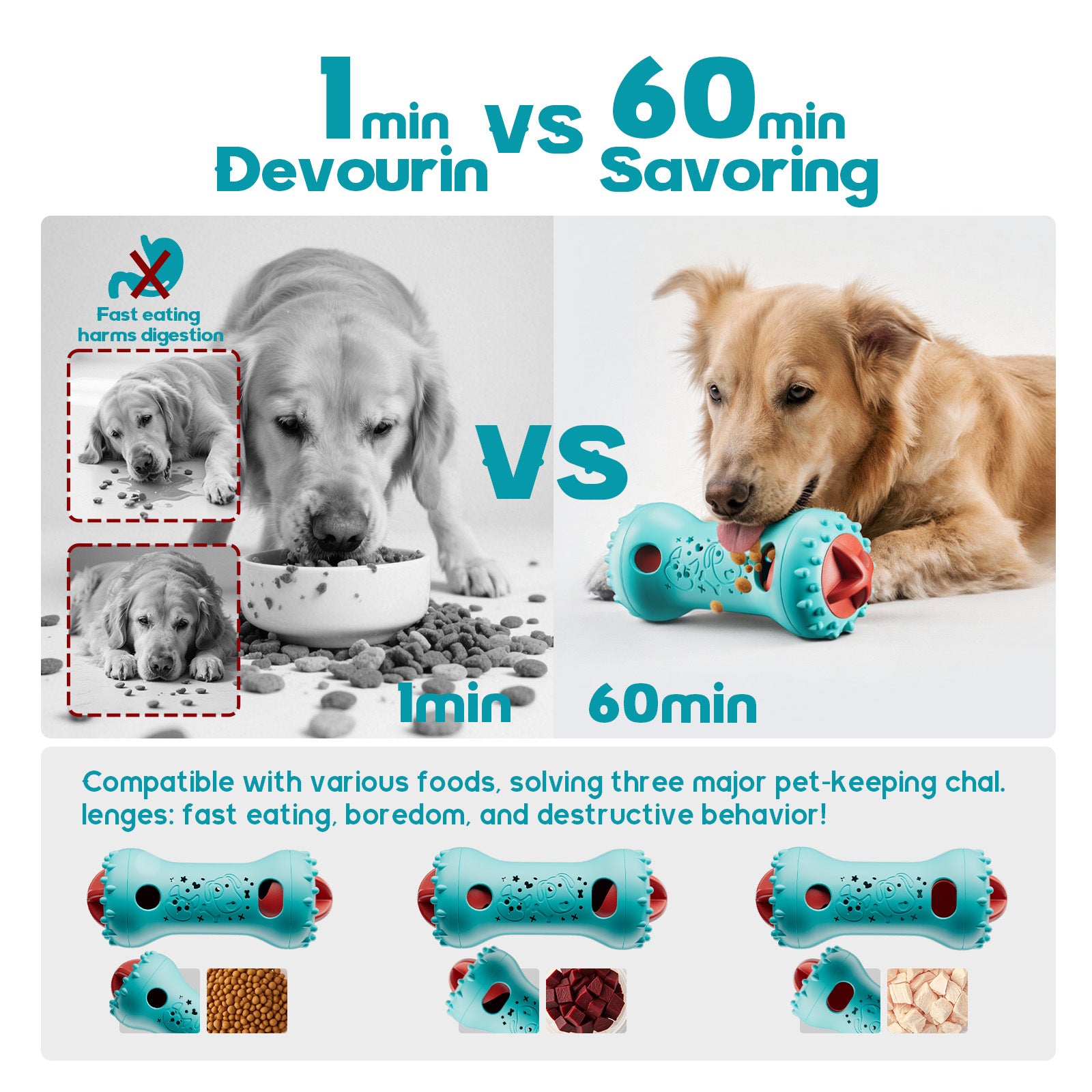 Rolling Food Dispensing Toy Dog Toy Self-Entertainment